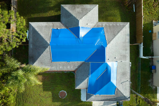 Best Roof Moss and Algae Removal  in Westmont, NJ